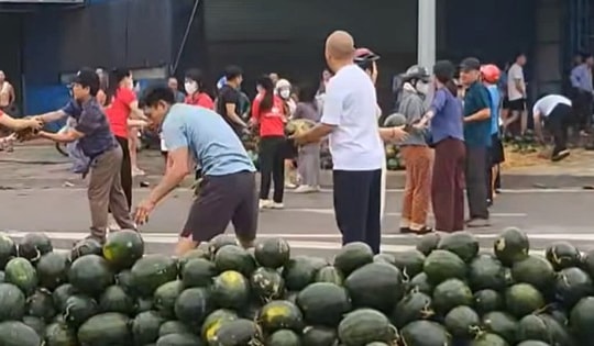 VIDEO: Người dân xếp hàng thu gom, 'giải cứu' dưa hấu khi xe tải gặp nạn