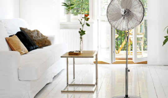 Cách chọn quạt cây để ‘giải nhiệt’ mùa hè