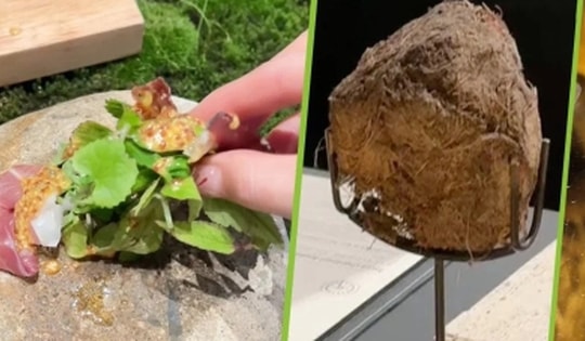 Nhà hàng phục vụ món tráng miệng từ phân voi trong suất ăn 13 triệu đồng