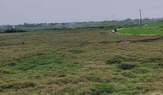 Bật mí 3 mốc thời gian được xét cấp sổ đỏ đối với đất không giấy tờ theo quy định mới nhất