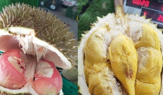 Loại sầu riêng mới giá lên tới gần 800.000 đồng/kg gây sốt