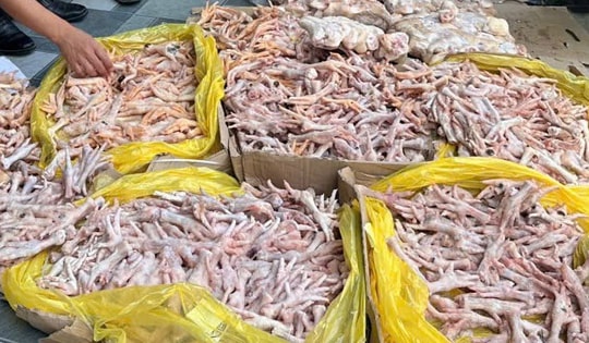 Phường Hưng Đông, TP Vinh phát hiện gần 500kg chân gà, đuôi lợn không rõ nguồn gốc xuất xứ chuẩn bị đưa ra thị trường