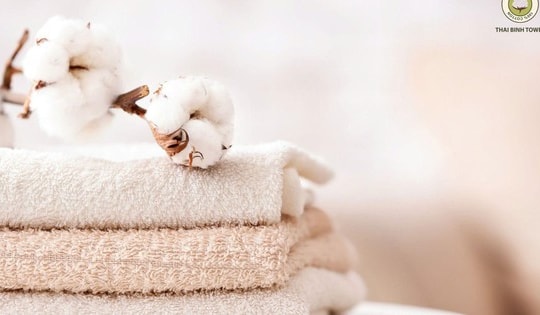 CEO Nguyễn Tự Hưng tiết lộ lý do làm nên thương hiệu Thái Bình Towel