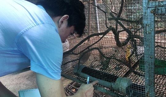 Số ca mắc sốt xuất huyết ở Đồng Nai bất ngờ tăng vọt