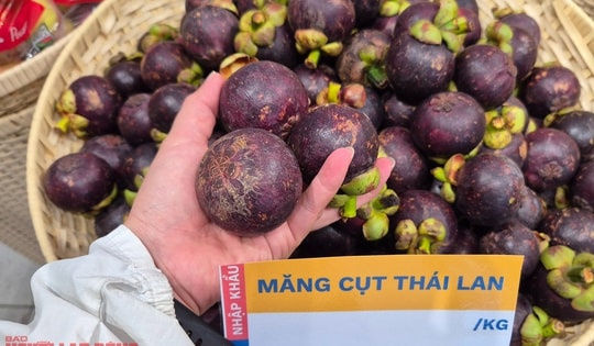 Điều gì khiến trái cây Thái Lan dần biến mất tại Việt Nam?