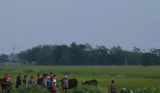 Hà Nội: Ba học sinh thương vong khi dùng gậy sắt để lấy diều mắc trên đường dây điện