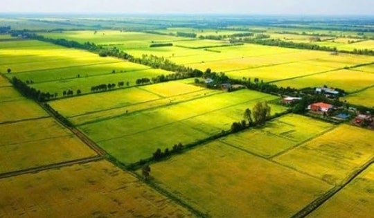 Những thông tin về mức xử phạt các hành vi vi phạm đất đai theo quy định mới nhất