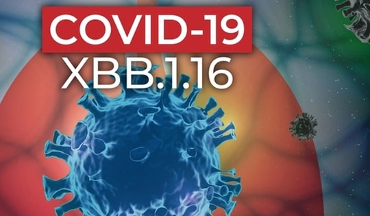 Phòng ngừa COVID-19: Không hoang mang nhưng cũng không được chủ quan