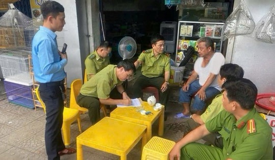 Kiểm lâm nói gì về thông tin mang chim đi cà phê phải chứng minh nguồn gốc?