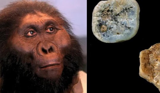 Phát hiện mới đảo lộn quan niệm về trí tuệ người cổ đại