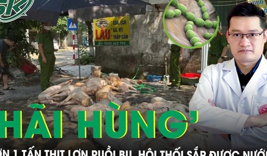 ‘Hãi hùng’ hơn 1 tấn thịt lợn xuất huyết, hôi thối chuẩn bị lên lò nướng, chuyên gia cảnh báo