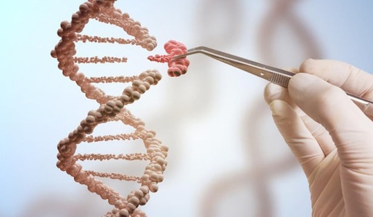 Bệnh nhân đầu tiên được điều trị bằng kỹ thuật chỉnh sửa gene cá nhân hóa