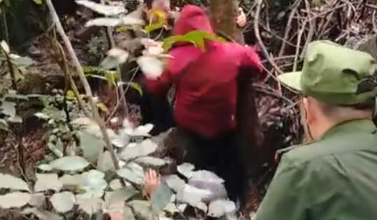 Vợ chồng đi bắt ốc, lạc trong rừng sâu hơn 10 tiếng