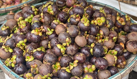 Loại quả được ví là ‘nữ hoàng’ trái cây đầu mùa giá cao, tiểu thương không dám nhập hàng vì sợ lỗ vốn