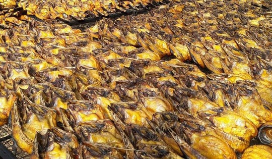 Loại cá 'rẻ bèo' bán đầy chợ Việt bất ngờ được nước giàu nhất Nam Mỹ tăng nhập khẩu