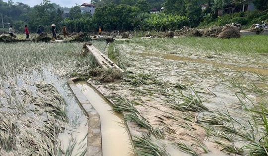Mưa lớn gây thiệt hại nghiêm trọng ở Bắc Kạn, Hà Giang, Tuyên Quang