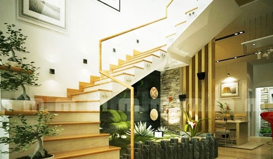 Đây là lý do trồng cây trong nhà không cần ánh sáng và dễ chăm sóc