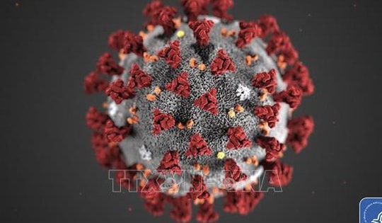 Các nước Đông Nam Á tăng cường biện pháp phòng chống dịch COVID-19