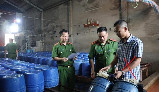 Khởi tố chủ cơ sở đã bán hơn 60 tấn giá đỗ 'ngậm' chất kích thích ra thị trường