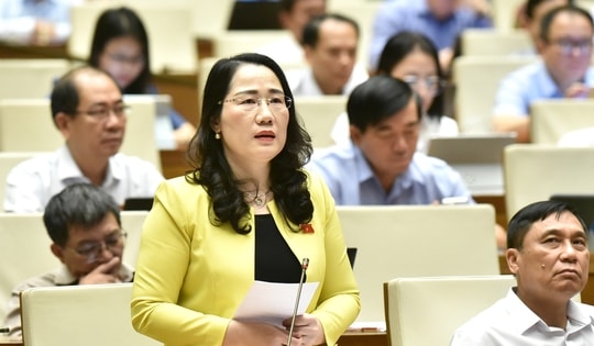 Đề nghị bổ sung tòa án chuyên biệt vào hệ thống tòa án