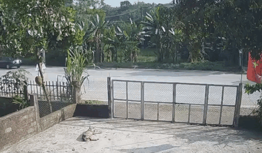 Vào cua tốc độ cao, xe máy đối đầu xe khách khiến một người tử vong ở Tuyên Quang