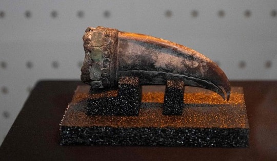 Phát hiện hài cốt phụ nữ thượng lưu có niên đại 5.000 năm