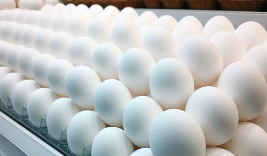 Những lợi ích của ăn trứng vịt vào mùa hè
