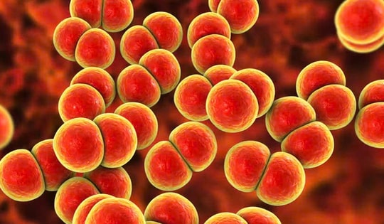 Anh triển khai vaccine phòng bệnh lậu đầu tiên trên thế giới