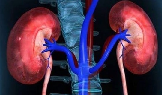 Dấu hiệu cảnh báo tổn thương thận cấp không nên bỏ qua
