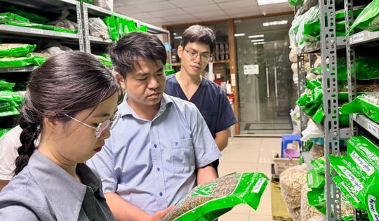 Bộ Y tế lập 15 tổ kiểm tra về dược, mỹ phẩm, y dược cổ truyền, sữa, thực phẩm, thiết bị y tế