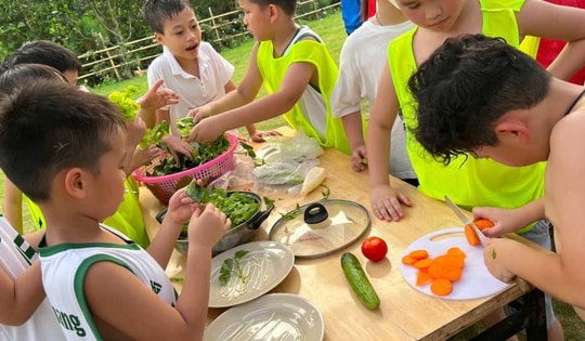 Cha mẹ cần tỉnh táo chọn khoá học hè cho con, tránh 'tiền mất tật mang'