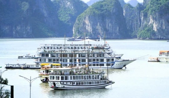 Vì sao tàu du lịch Thịnh An 88 bị dừng hợp đồng neo đậu trên vịnh Hạ Long 7 ngày?