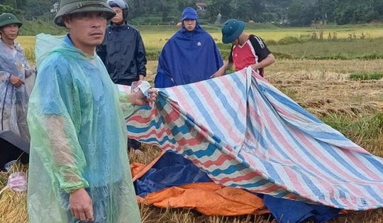 Thanh niên dùng điện thoại trên cánh đồng bị sét đánh tử vong