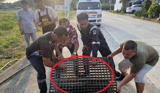 Nghe thấy tiếng kêu dưới cống thoát nước, người dân chạy đến nơi chứng kiến cảnh tượng không ngờ