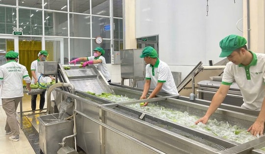 Thaphaco – Đưa dược liệu sạch Việt Nam trở thành lựa chọn an toàn cho sức khỏe người Việt