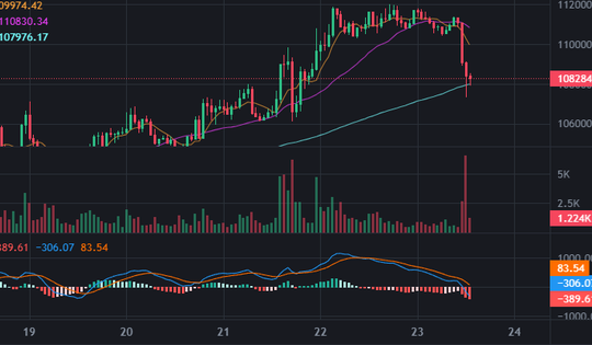 Bitcoin quay đầu lao dốc sau khi lập đỉnh cao nhất mọi thời đại