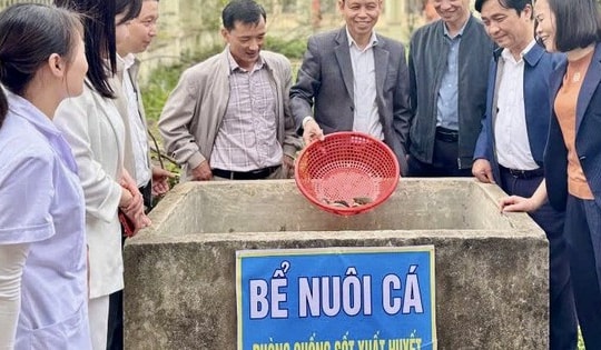 Hà Nội cảnh báo sốt xuất huyết có nguy cơ bùng phát thành dịch