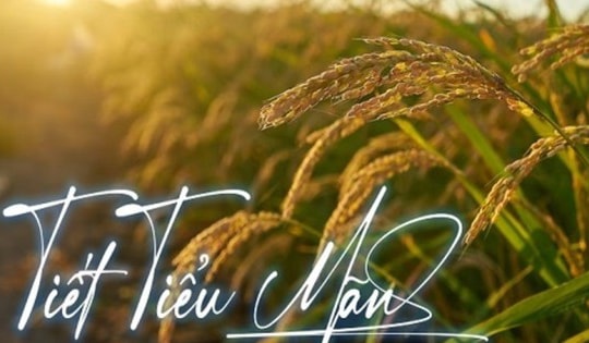 Từ ngày 21/5 đến 5/6/2025 nên làm điều sau để thu hút tài lộc, sức khỏe, mọi việc hanh thông