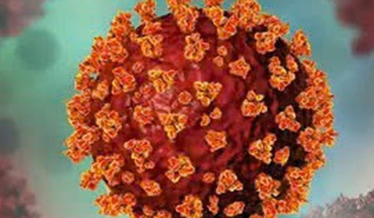 83% mẫu giải trình tự gen của bệnh nhân COVID-19 ở TPHCM là NB.1.8.1