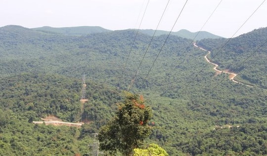 Đi theo Google maps lên thăm bạn, nữ sinh lạc vào rừng sâu