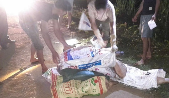 Gần 2 tạ thịt lợn chết bị đổ trộm xuống bến đò trong đêm