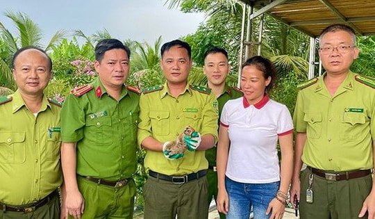 Động vật quý hiếm 'lạc' vào vườn nhà dân