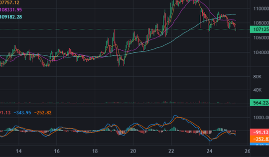 Giá Bitcoin tiếp tục đà rơi