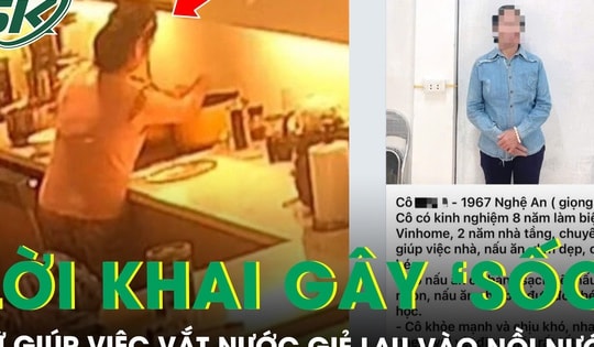 Lời khai gây ‘sốc’ của nữ giúp việc vắt nước từ giẻ lau bếp vào nồi nước uống cho chủ nhà