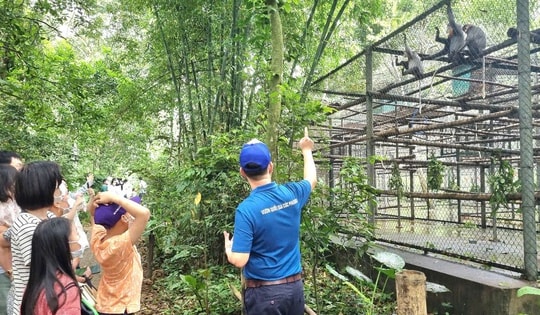 Khoảnh khắc ‘săn ảnh’ động vật quý hiếm ở Cúc Phương