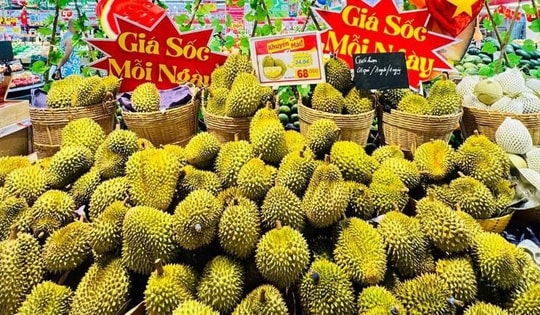 Sầu riêng chính vụ loạn giá bán, người tiêu dùng vừa mừng vừa lo