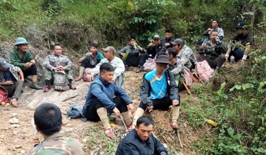 Người đàn ông mất tích khi vào rừng tìm mật ong