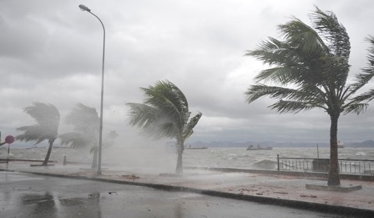 Tin giả về bão số 1 sắp vào Biển Đông nhan nhản khắp mạng xã hội