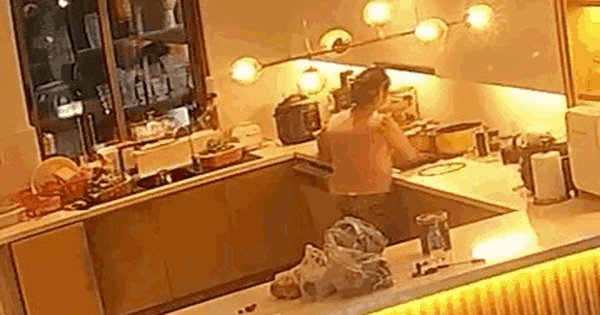 Giúp việc vắt nước giẻ lau vào nồi nước của gia chủ: Một vụ việc, nhiều cảnh tỉnh