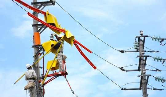 Lịch cúp điện Long An từ ngày 27/5 – 1/6/2025: Tăng thêm hàng loạt khu vực cúp điện